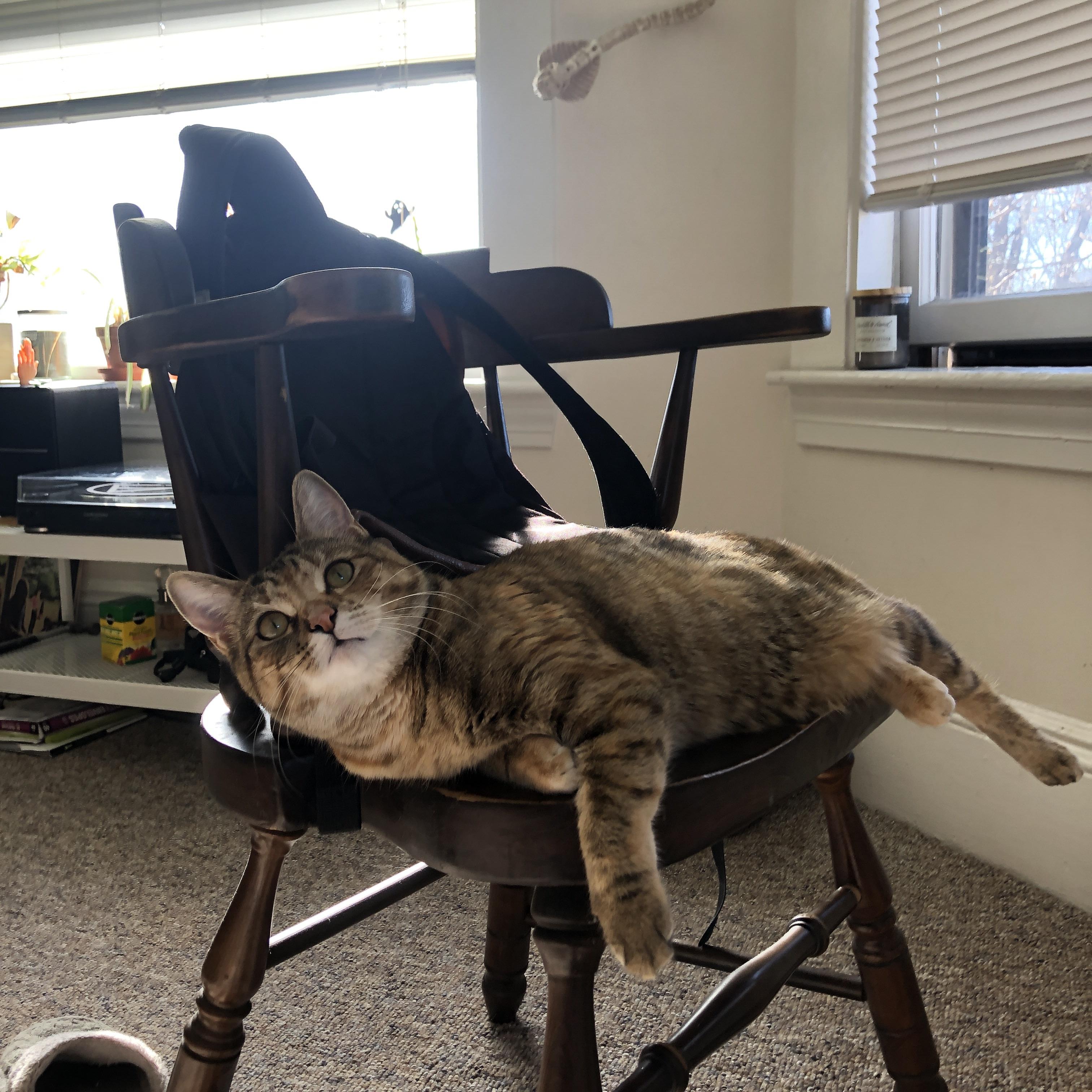 云南高原登山赛,体验不同气候的极限挑战,云南高原山地