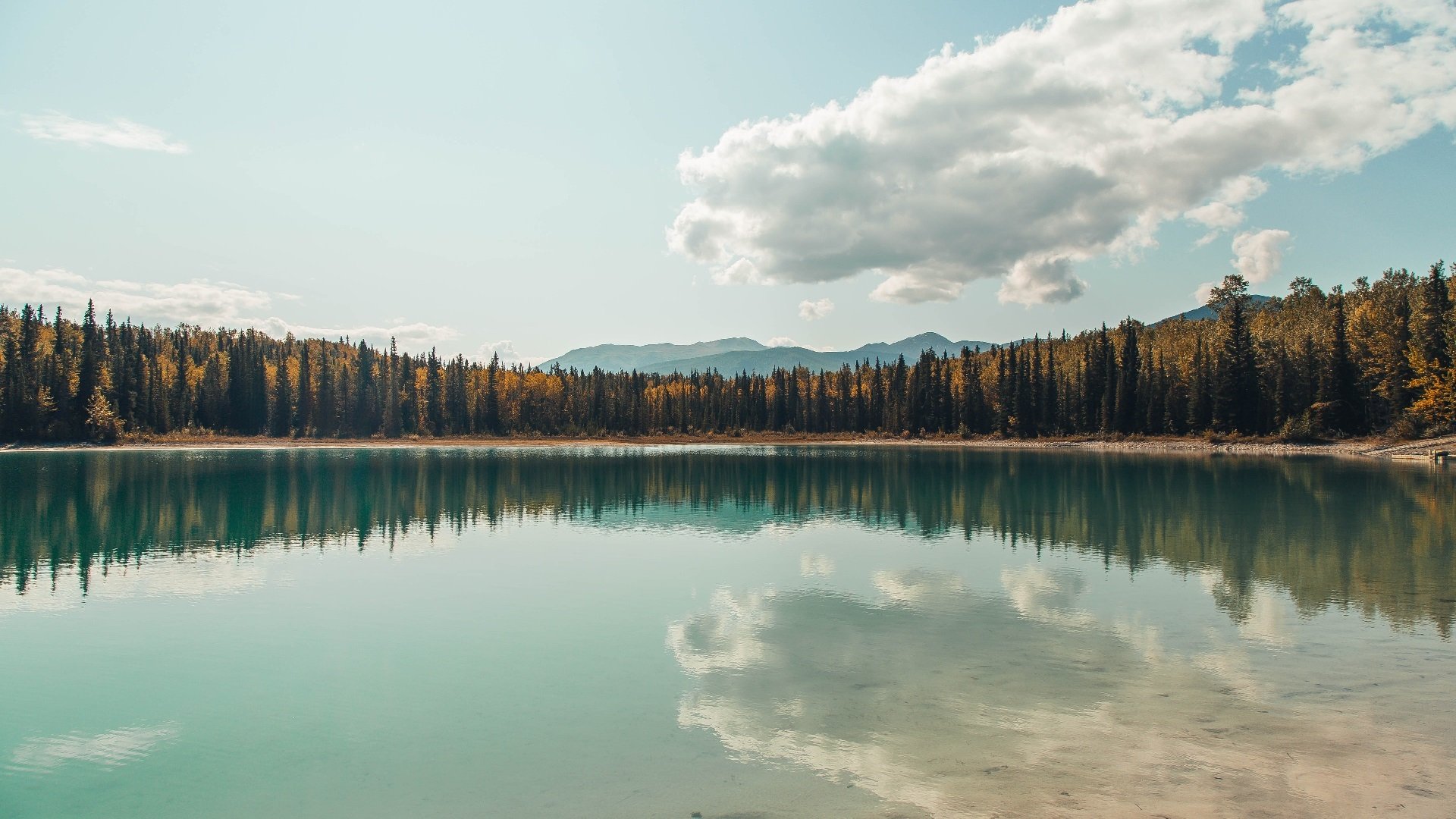 Team Liquid发布年度战略展望,team report