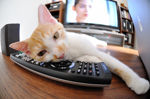 塞浦路斯战平克罗地亚,意外的平局或给小组赛增添不确定因素,塞浦路斯争端