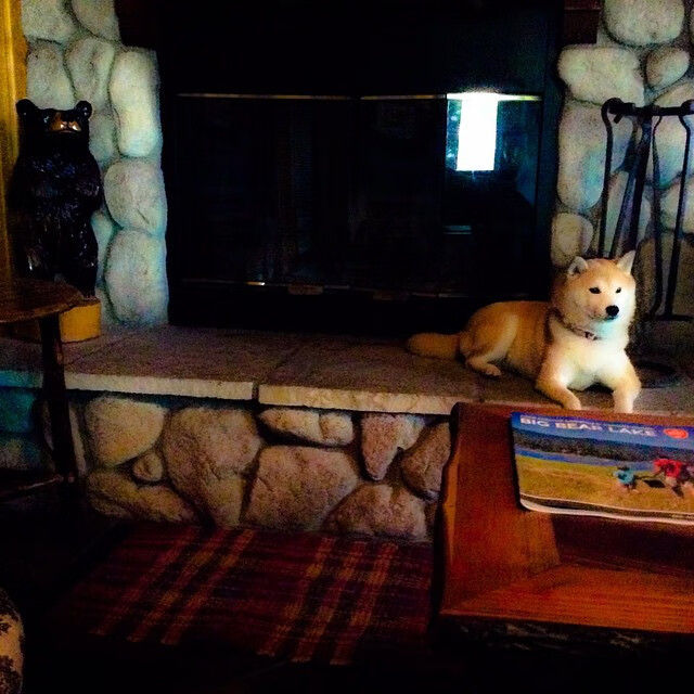 拉齐奥客场不敌萨索洛，科雷亚突破传射得分，拉齐奥科里亚