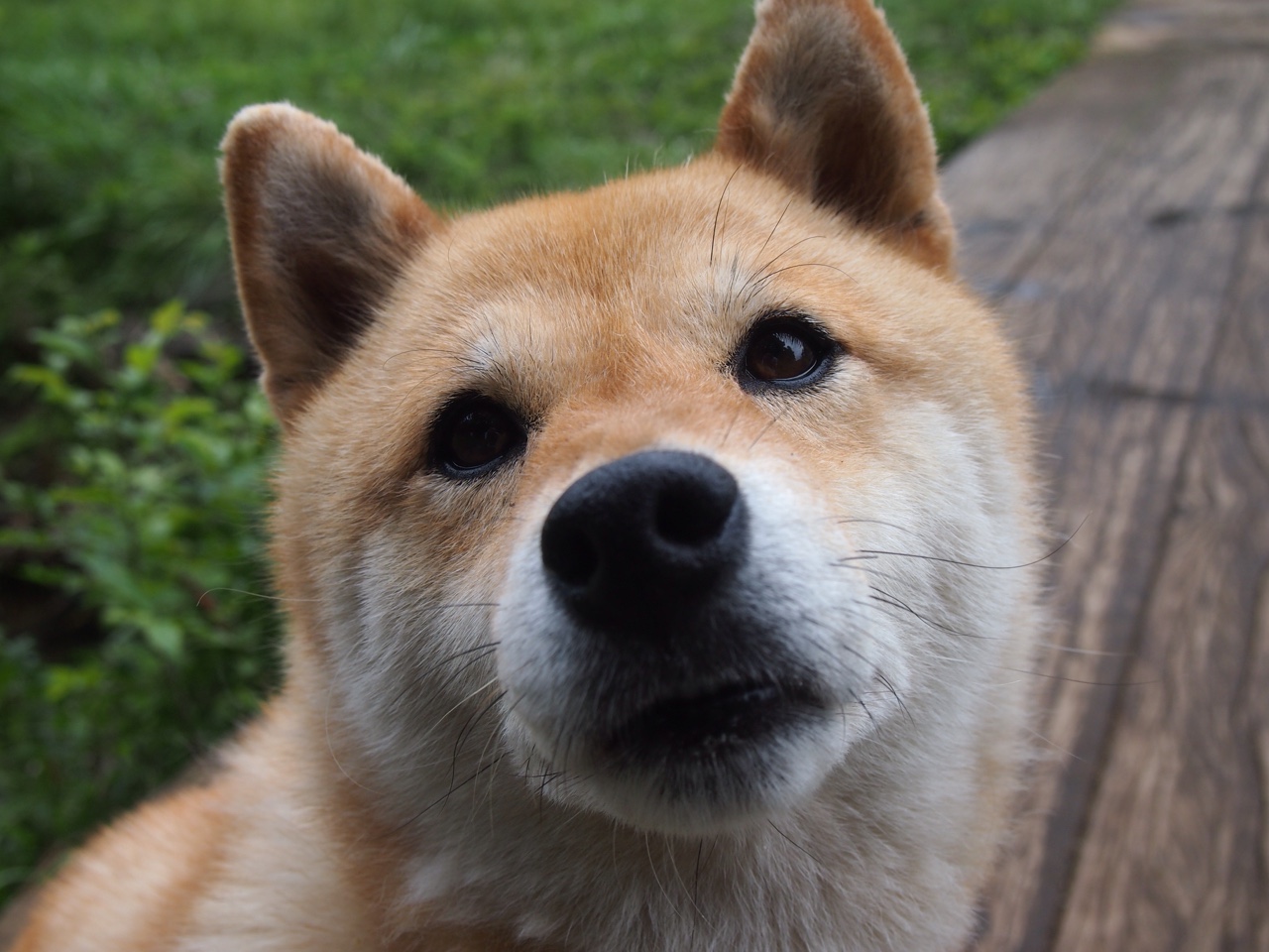 比利亚雷亚尔连胜告急,球队形势严峻,比利亚雷亚尔vs