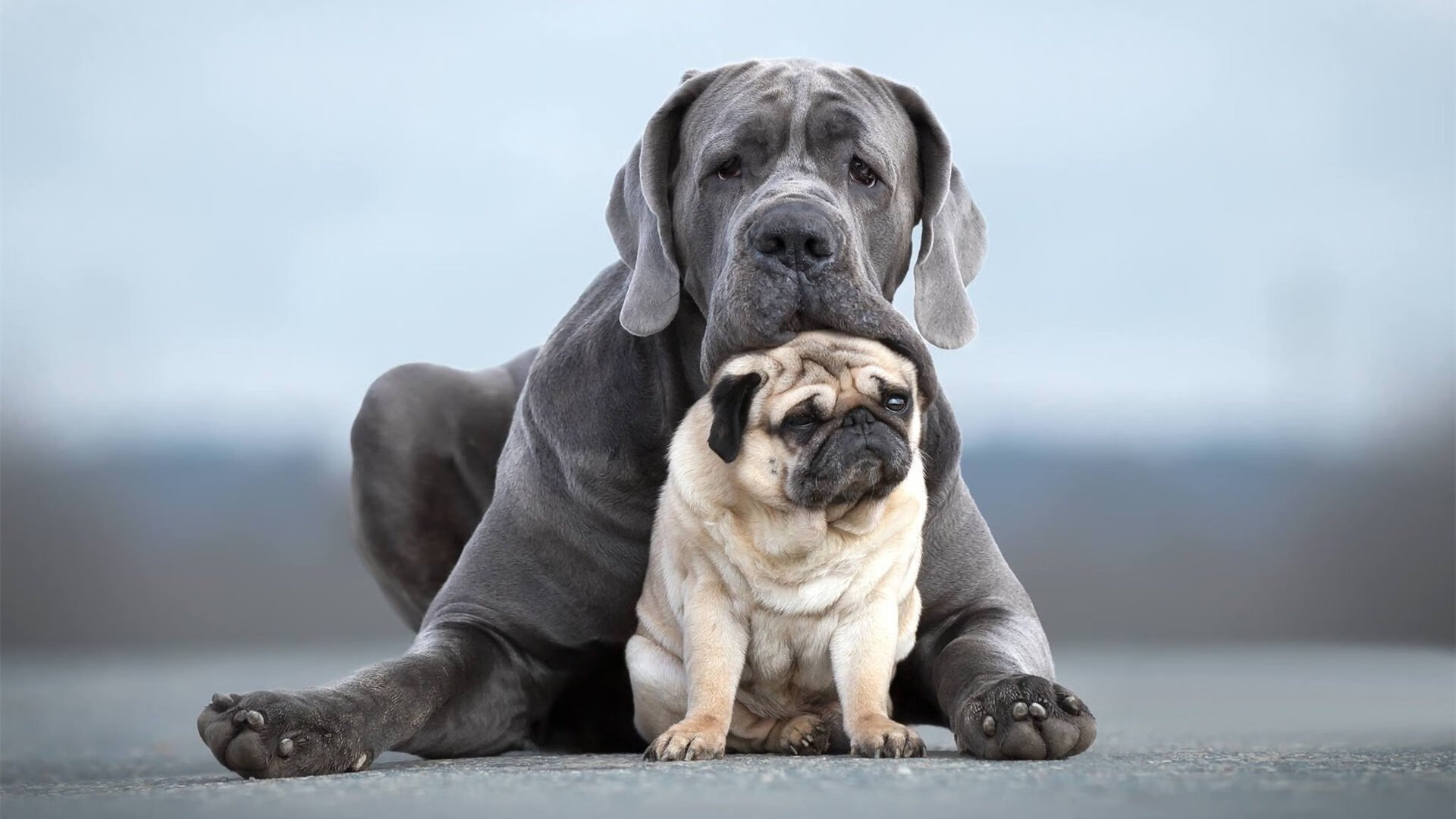 河北华夏幸福门将出色扑救,帮助球队逃过一劫,河北华夏幸福守门员是谁