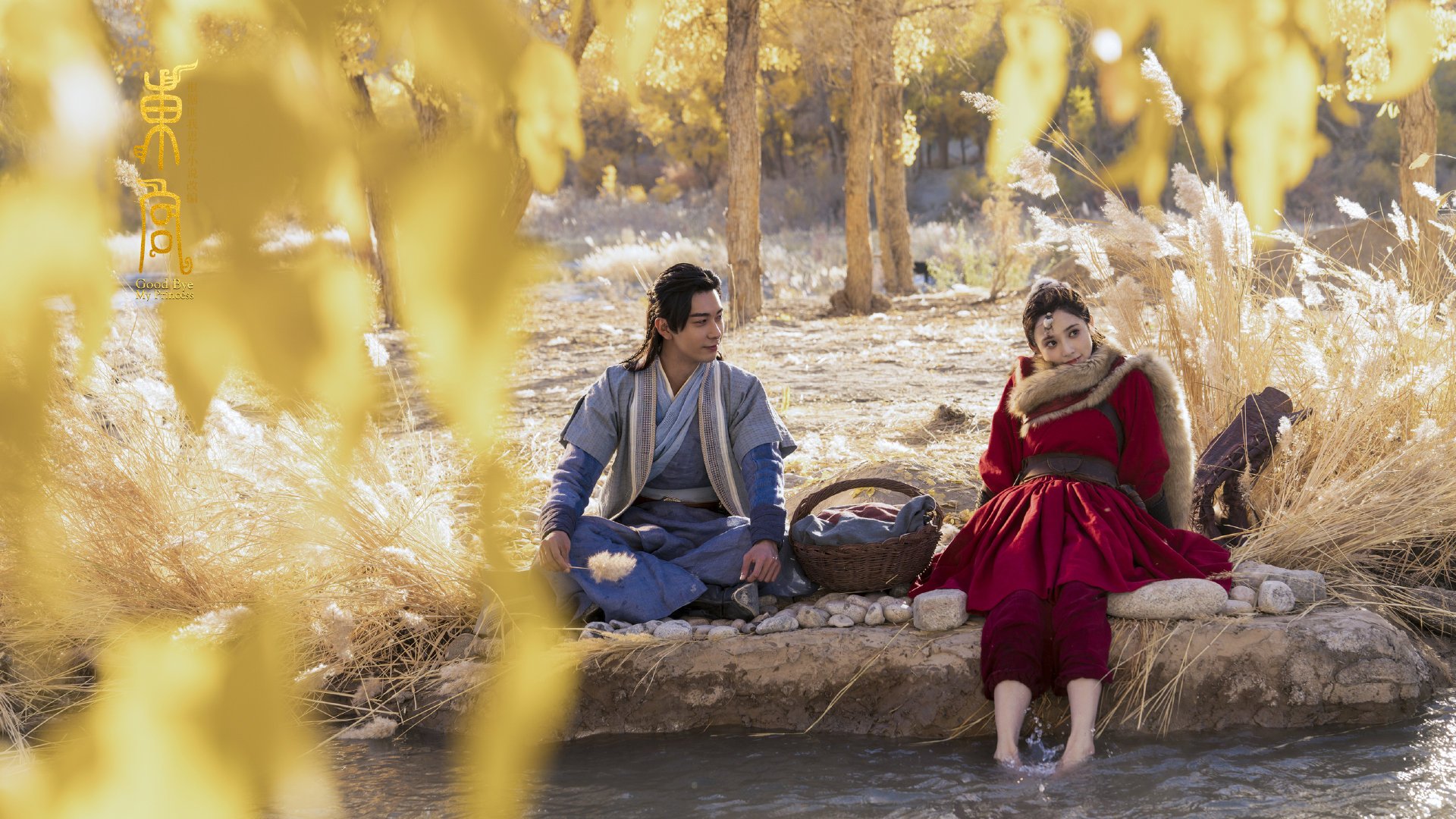 猛龙前锋状态神勇,率队夺得胜利,猛龙队大前锋