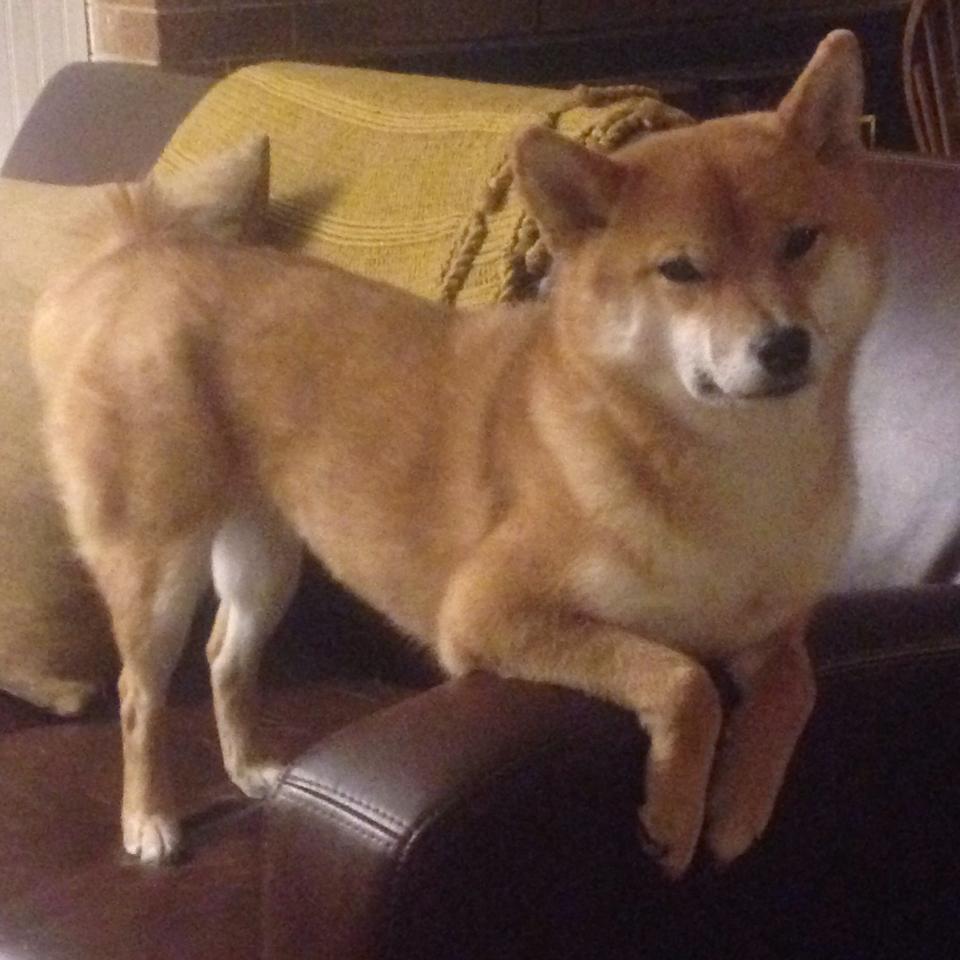 狼队客场大胜南安普顿,重返争四行列,狼队vs南安普敦比赛结果