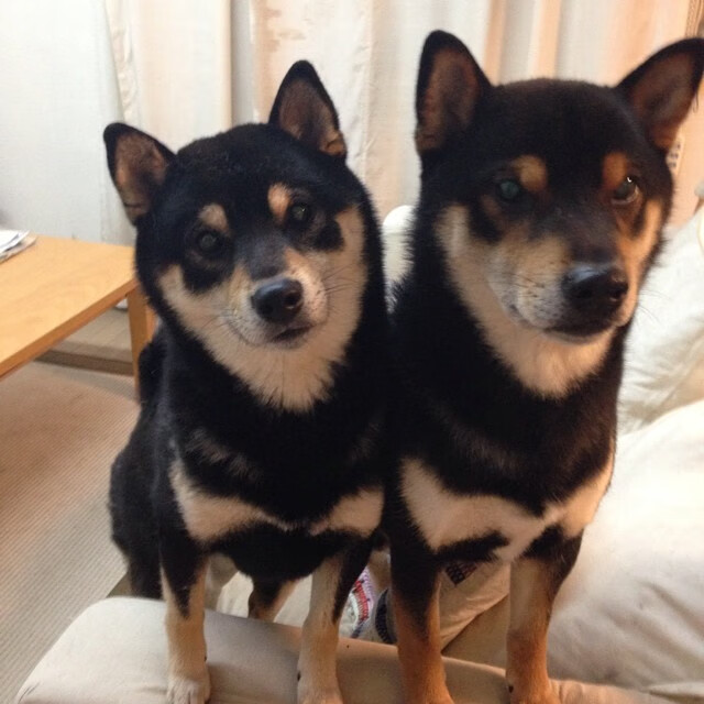 九游jiuyou-球员是否应成为反仇恨言论倡导者，h球员不当言论