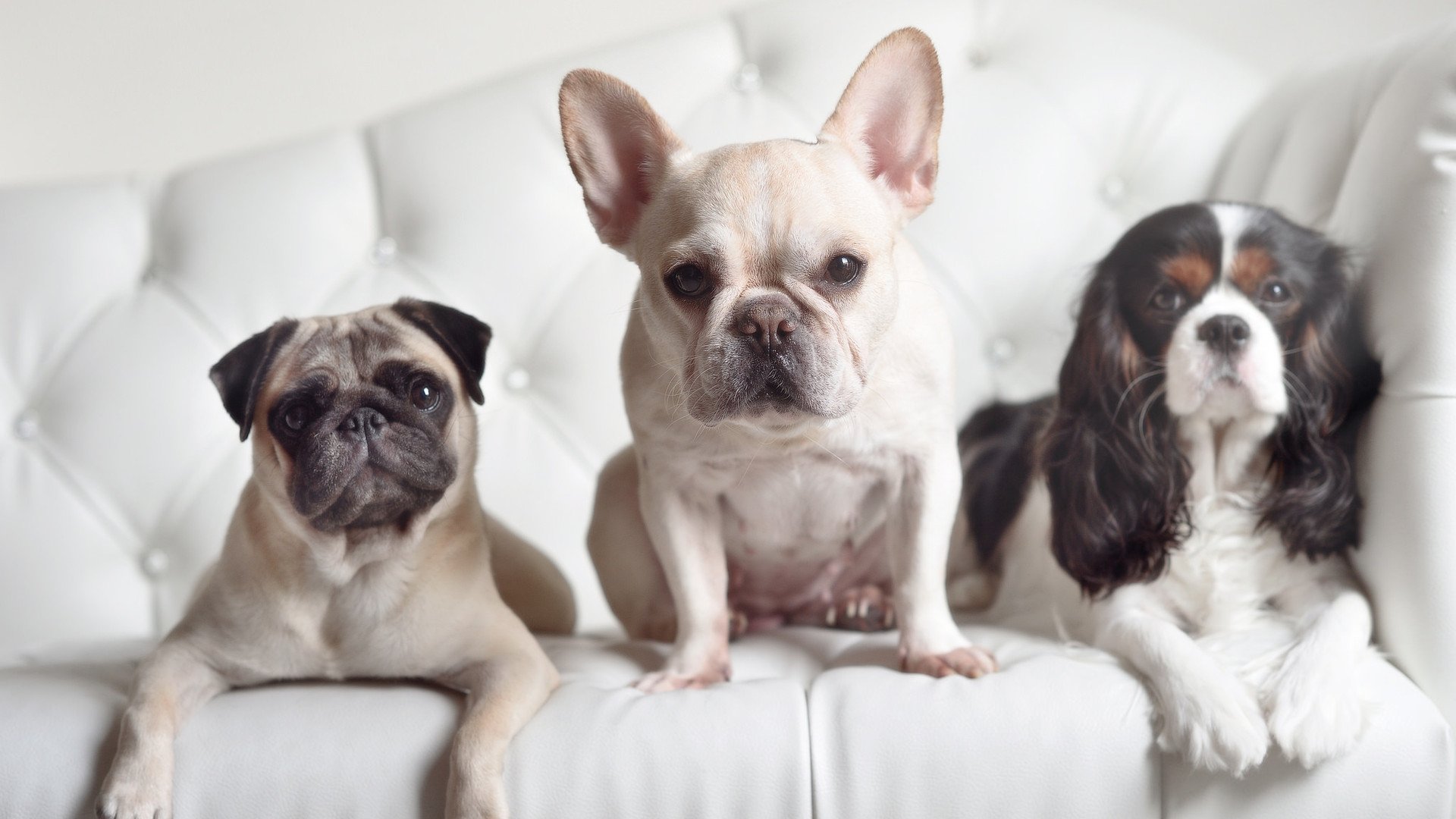 队长连续发挥出色,带领球队征服对手,球队队长的意义