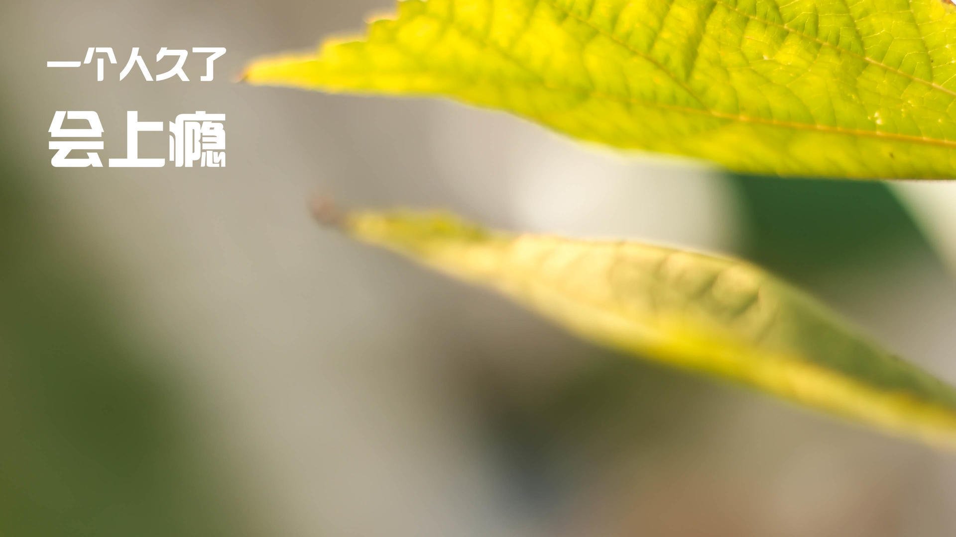 中国田径接力队世界锦标赛再添奖牌,中国田径接力队名单