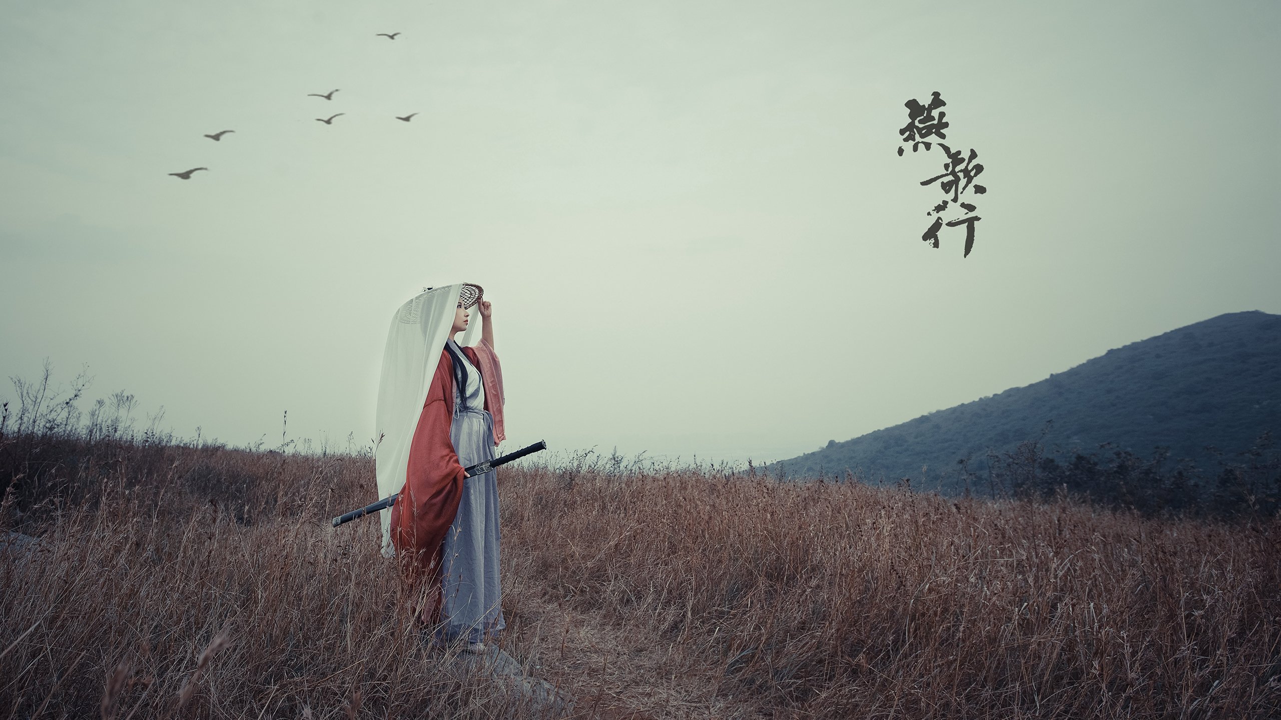 命中率奇高的经典比赛整理,命中率极高