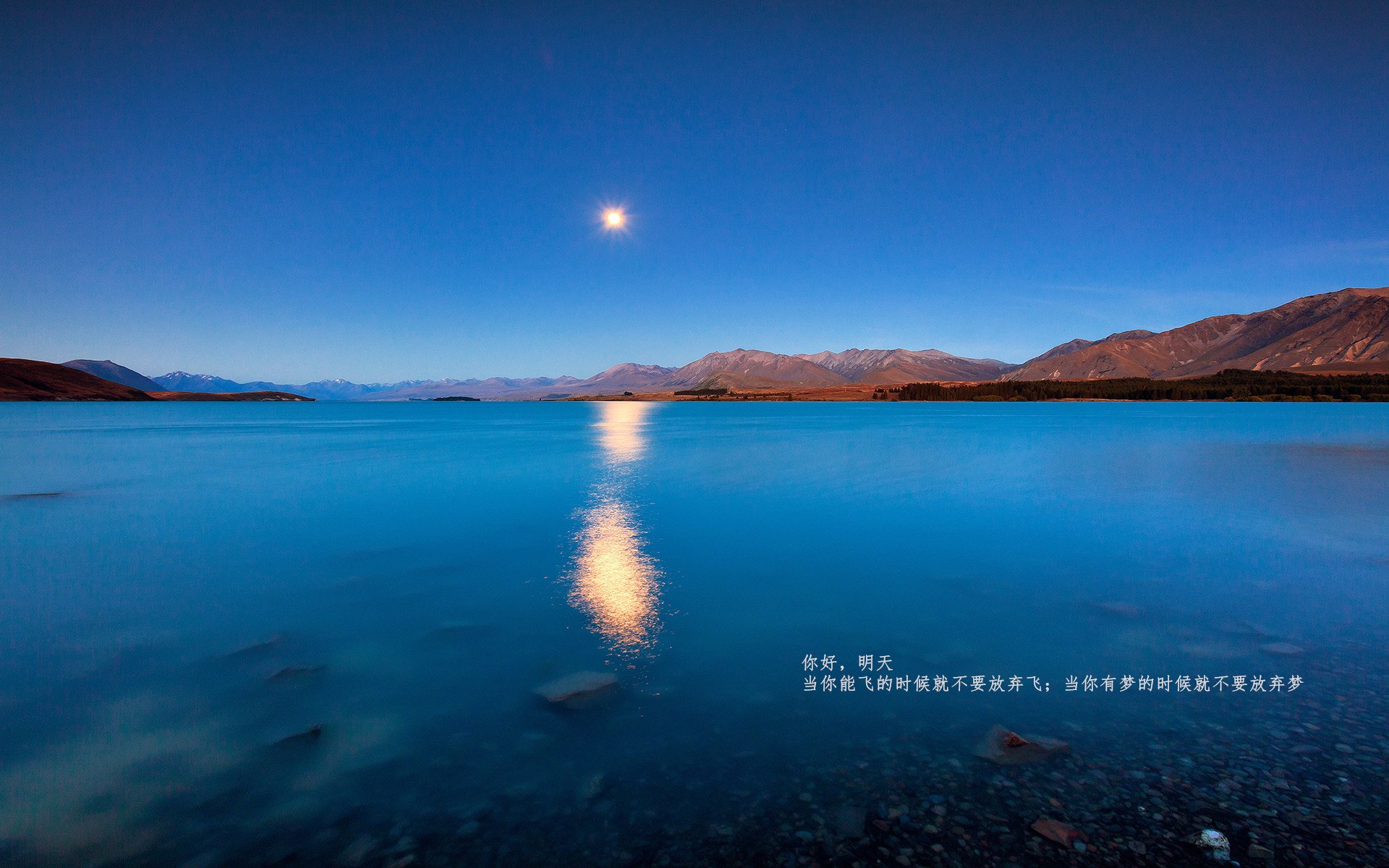 曼城多点进攻令对手防不胜防,曼城vs多特比分预测