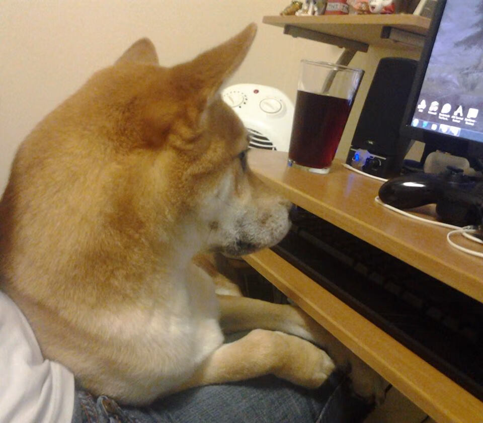 “亚戈·卡尔曼的脚下功夫和全能球技,成就阿根廷美洲狮队的辉煌”