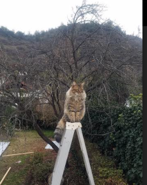 冲刺阶段划频提升力度可观，冲刺阶段如何提分