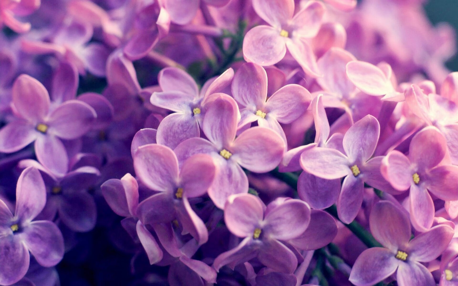 德甲战术多变：布局巧妙，精彩纷呈！，德甲打法特点