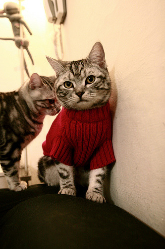 德甲全场精彩：攻守转换令人目不暇接！，德甲官方用球