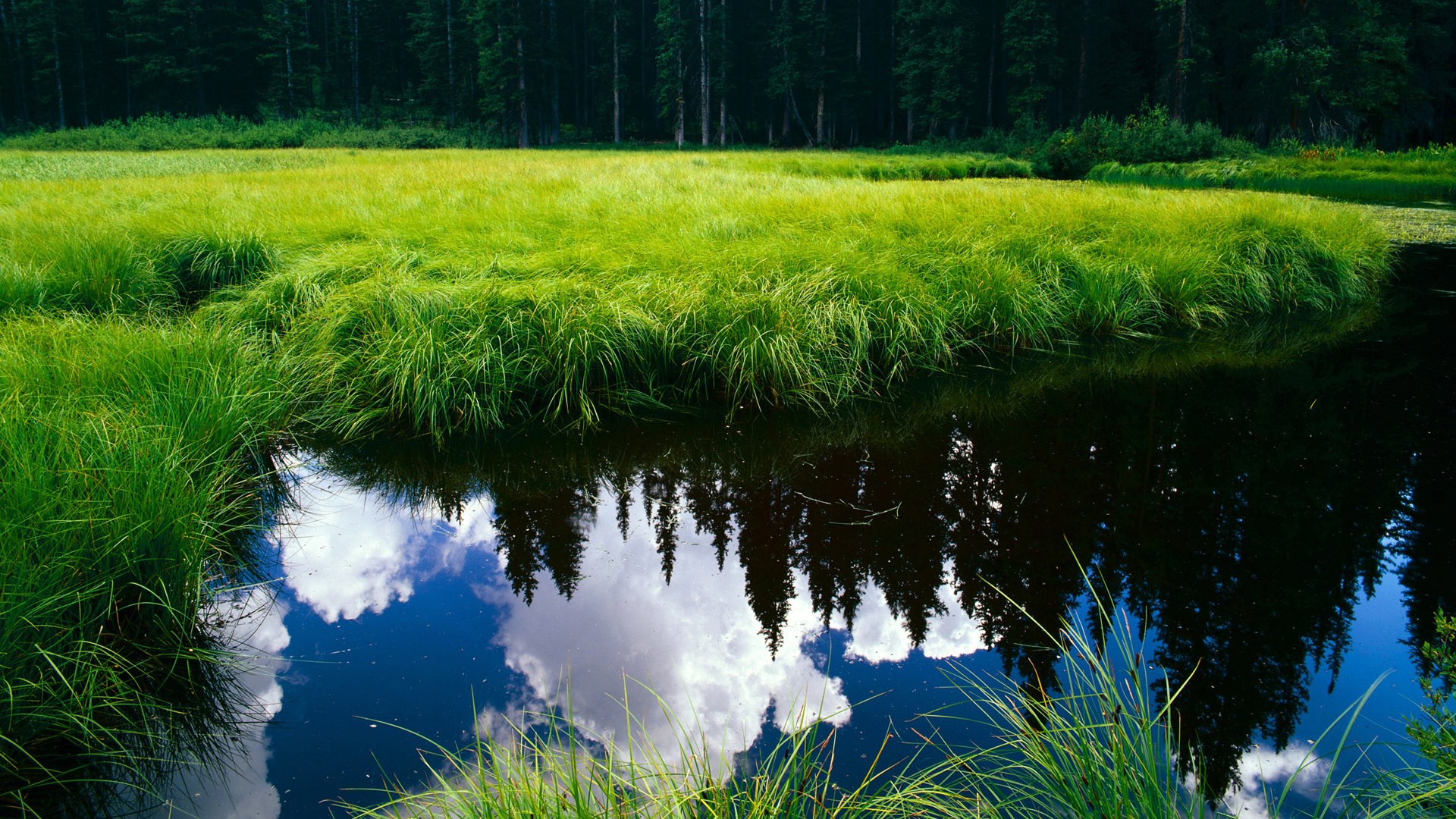 火箭三分线外手感火热连续命中关键球,火箭连续三分不中